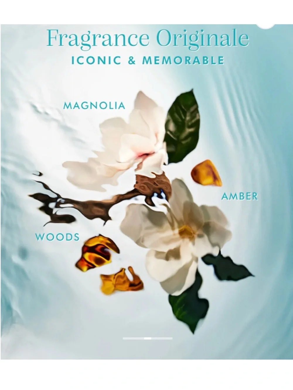 NEW✅Moroccanoil Originale Mist